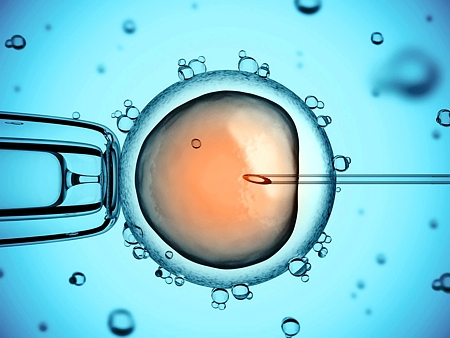 A incrível história do embrião disputado em juízo