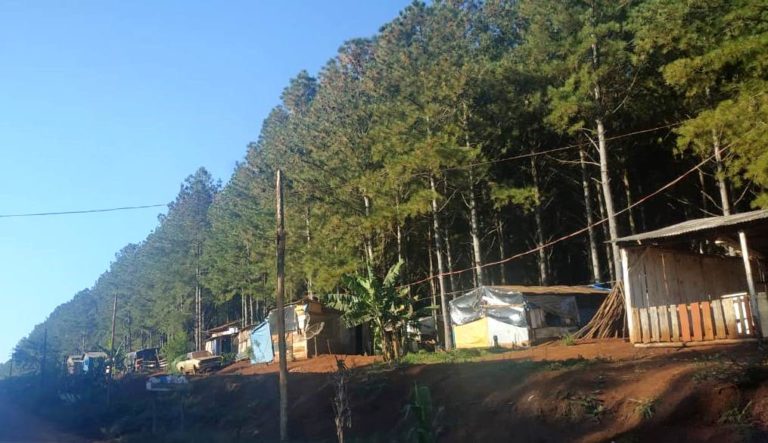 Polícia recebe denúncia de nova invasão em terras da Araupel
