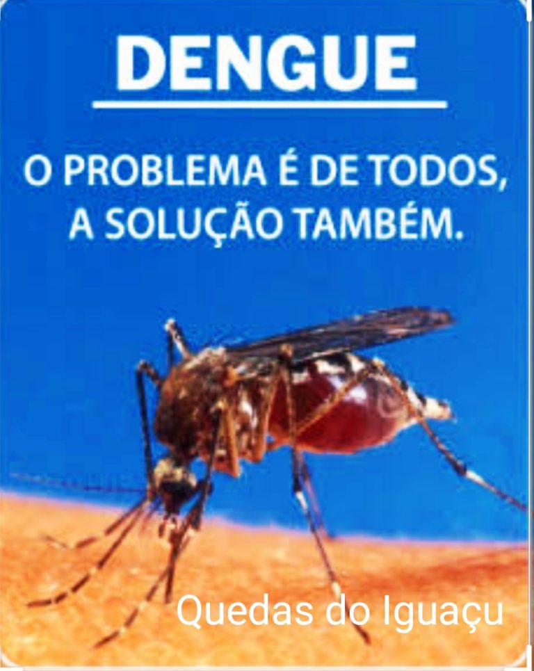 Dengue: Boletim de 10/02/2021