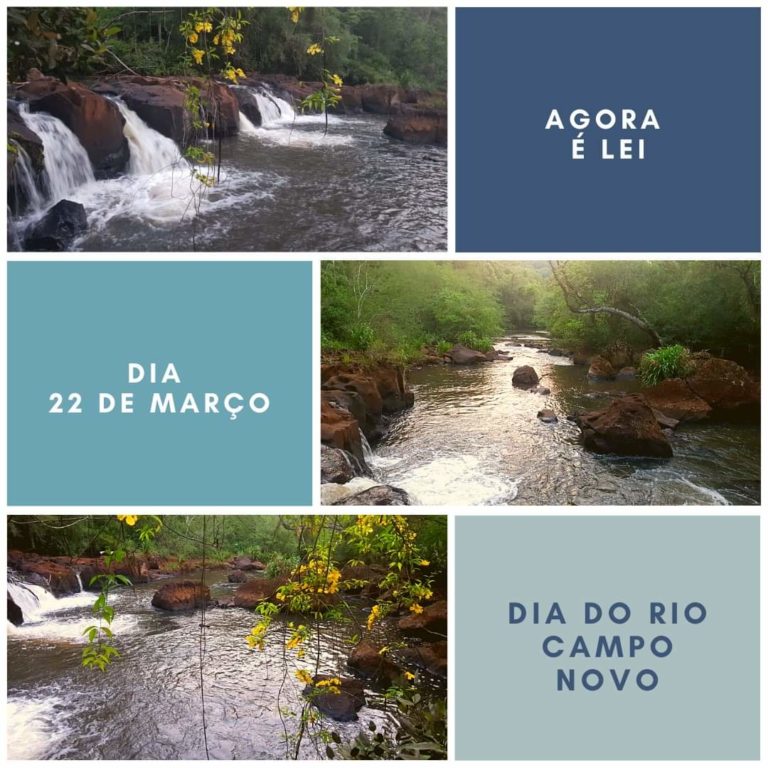 22 de março: Dia do Rio Campo Novo