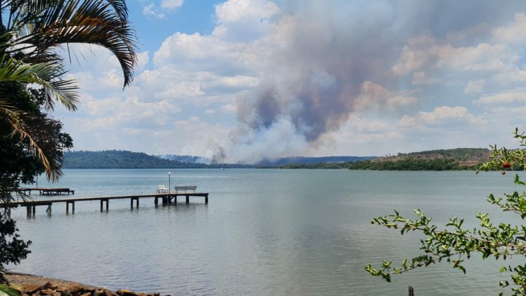 Queimadas supostamente criminosas estão devastando matas próximas ao Rio Iguaçu