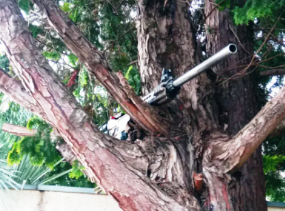 Arma de grosso calibre é encontrada em árvore após ataques em Guarapuava