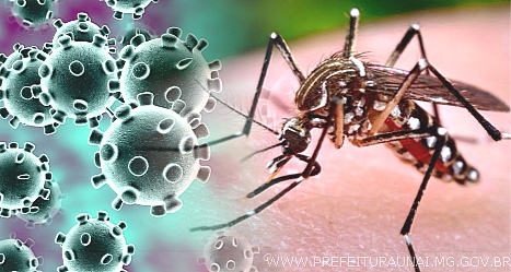 Boletim Epidemiológico Dengue e Covid-19 Quedas do Iguaçu (02/08/2022)