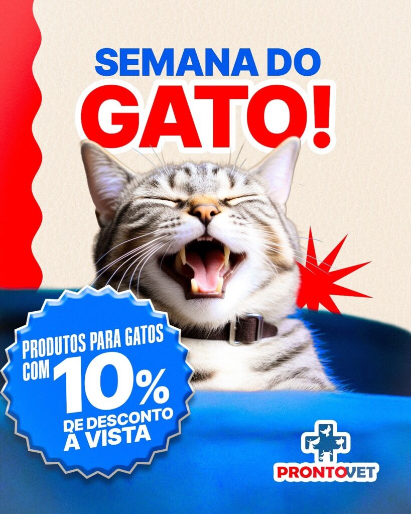 gato proto - Jornal Expoente do Iguaçu